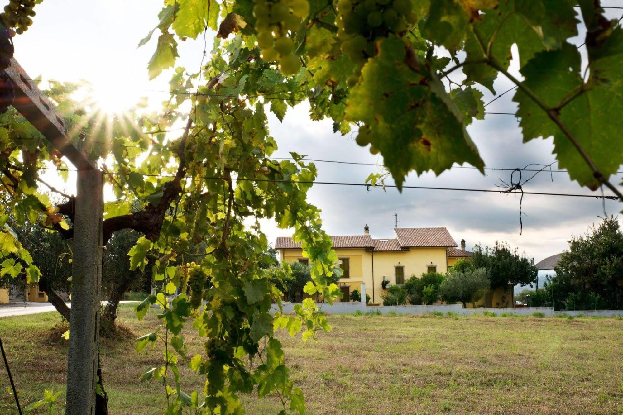 Agriturismo Il Casolare Di Nonno Mario Manoppello Экстерьер фото